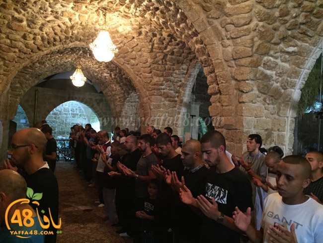 qader yaffa msajed (9).jpg